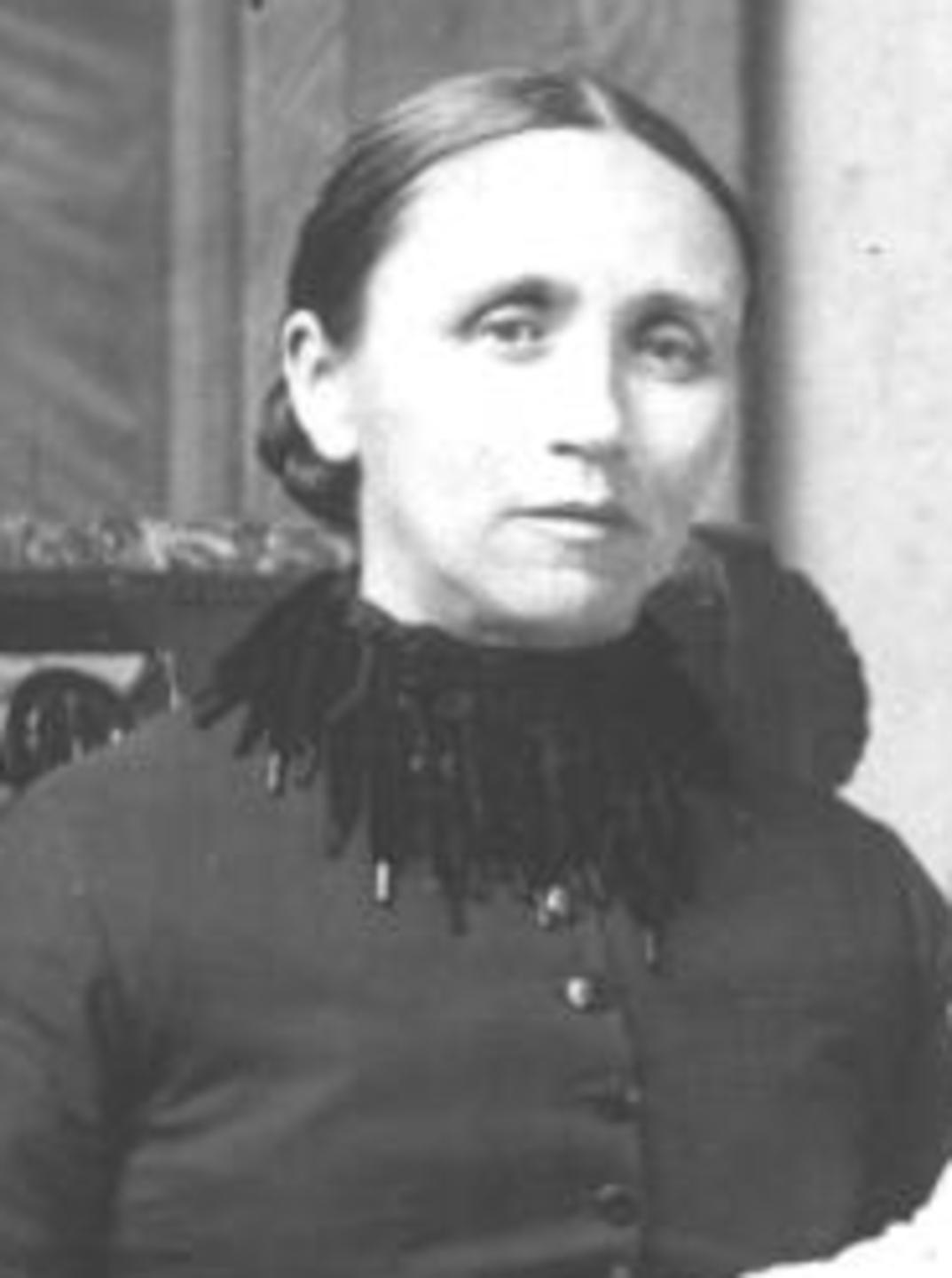 Betsy Ann Harper (1850 - 1913) Profile